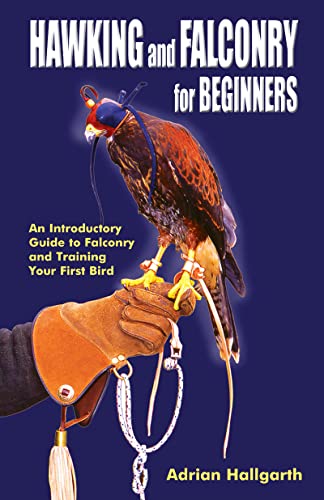 Hawking & Falconry for Begginers