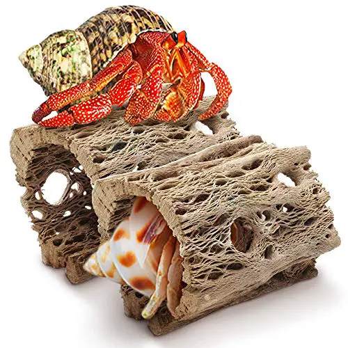 JOR 3" Cholla Wood Log, Extra Hollow Cave for Hermit Crabs, Chew Toy for Shrimps, Plecos, Organic Aquarium Driftwood Decoration, 2 Pcs per Pack