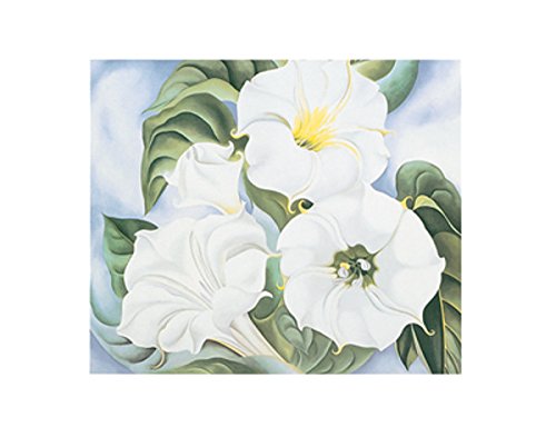 Picture Peddler Jimson Weed 1935 by Georgia O'Keeffe Flower Floral Nature Print Poster 11x14