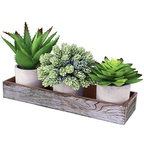 Winlyn Set of 3 Artificial Potted Succulents Plants in Rustic Wood Tray Succulents Arrangement for Farmhouse Table Centerpiece Desk Windowsill Shelf Counter Home Bathroom Kitchen Office Country Decor