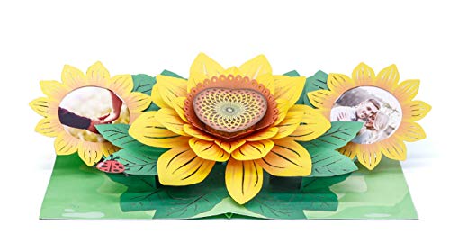 WOWPAPERART Sun Flower - 3D Pop Up Color Greeting Card for All Occasions Birthday, Love, Congrats, Good Luck, Anniversary, Get Well, Good Bye, Retirement, Thank You, Travel - Premium, Handcrafted